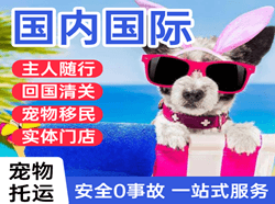 临汾尧都机场物流国际宠物托运 【国